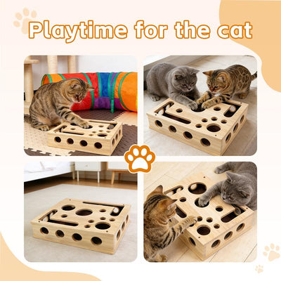 The Cat Scratch Puzzle