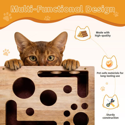The Cat Scratch Puzzle